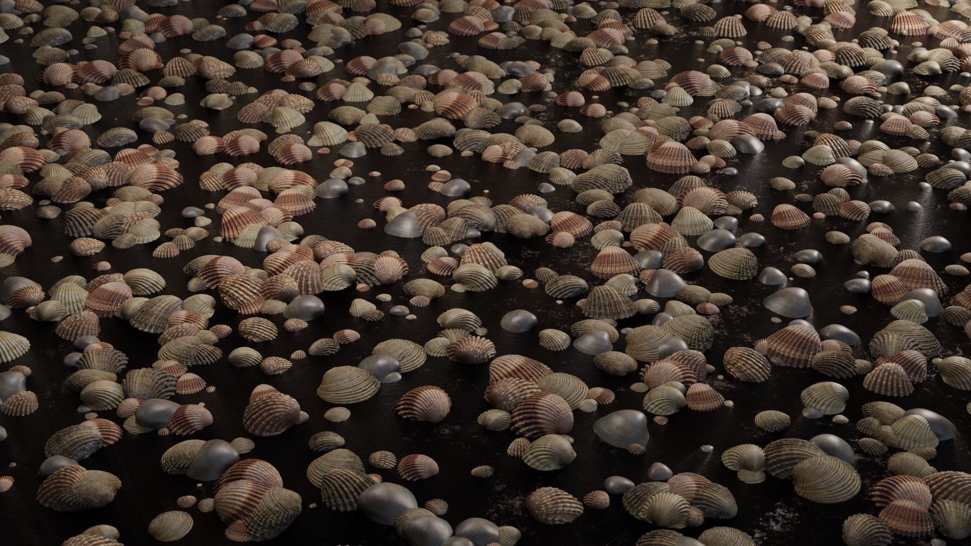 Sea shells collection Vol 2 Low-poly 3D model_12