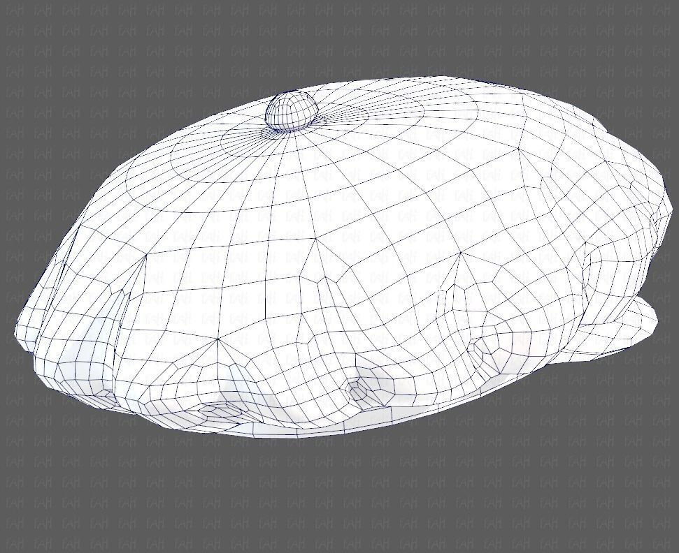 Cap V21 Low-poly 3D model_44