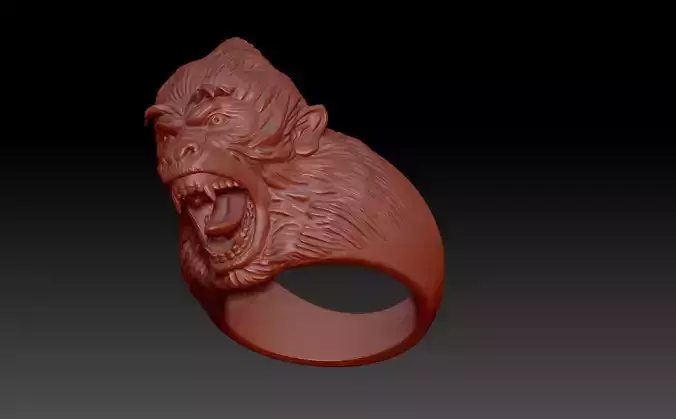 Ring Monkey 3D print model