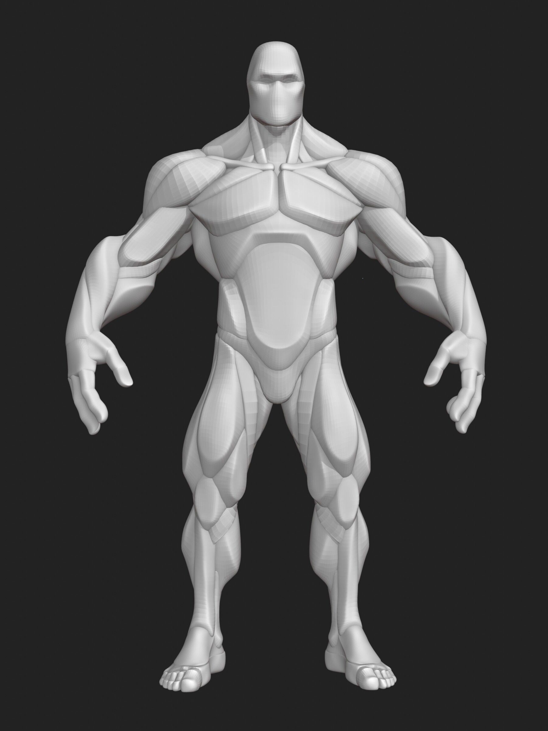 Stylized Hero Anatomy v1 3D model_3