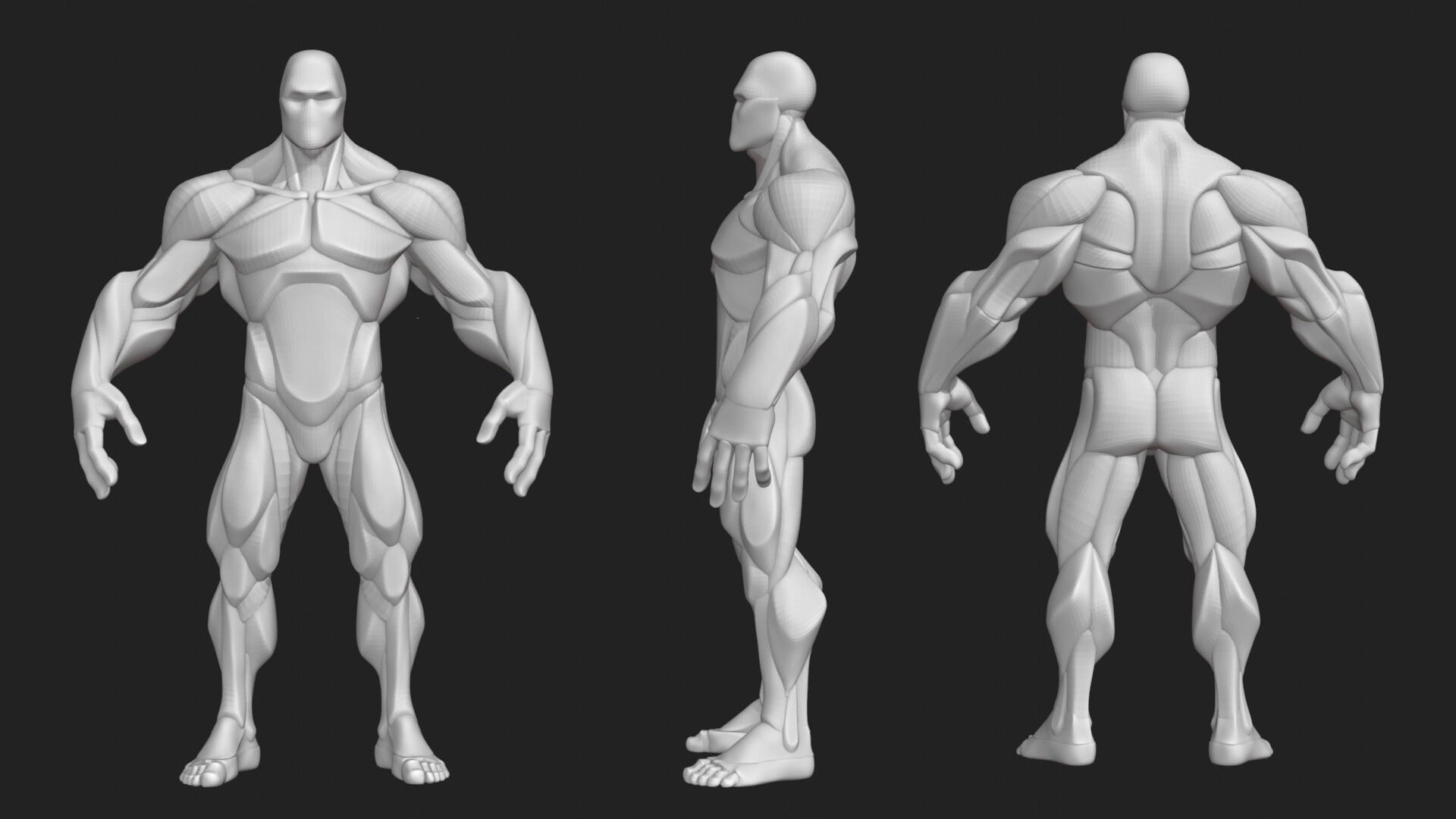 Stylized Hero Anatomy v1 3D model_1
