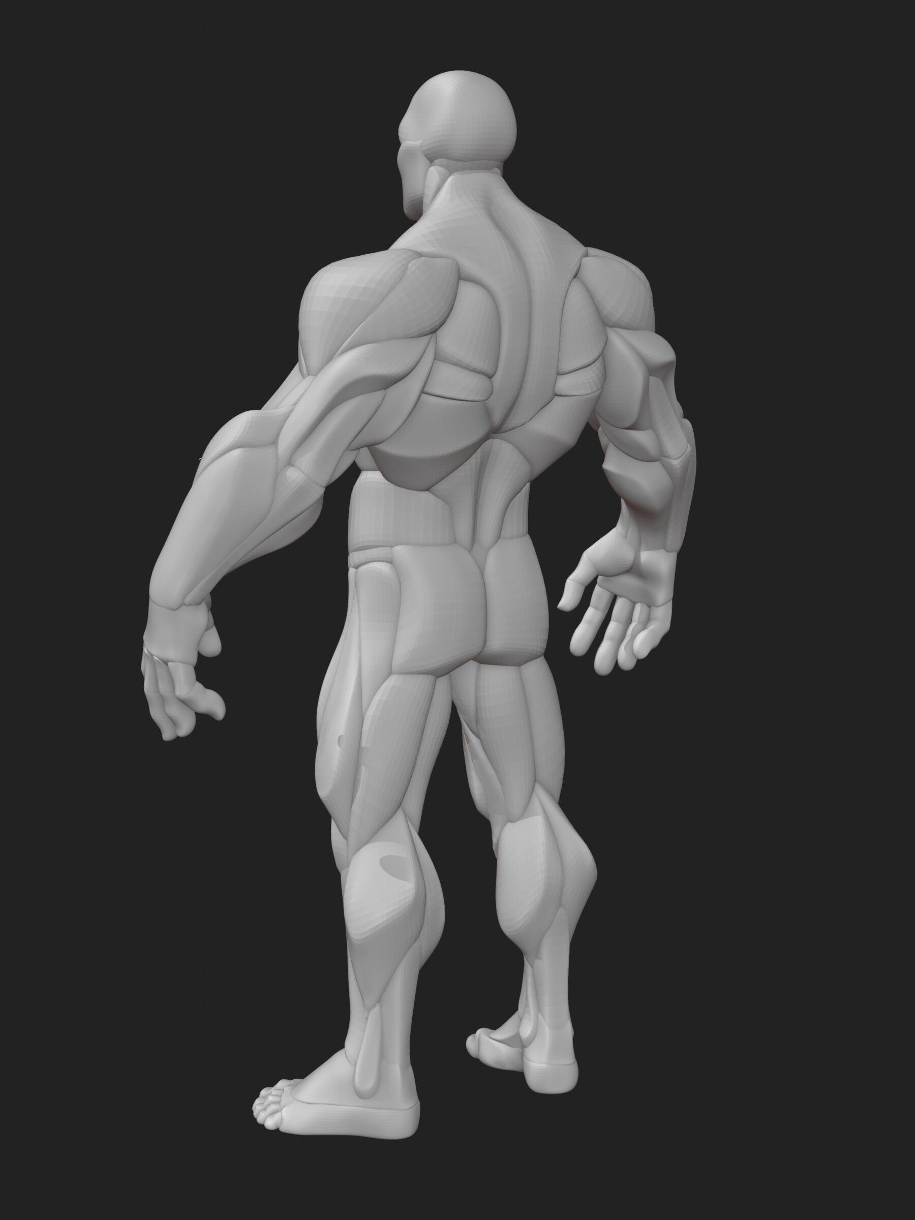 Stylized Hero Anatomy v1 3D model_8