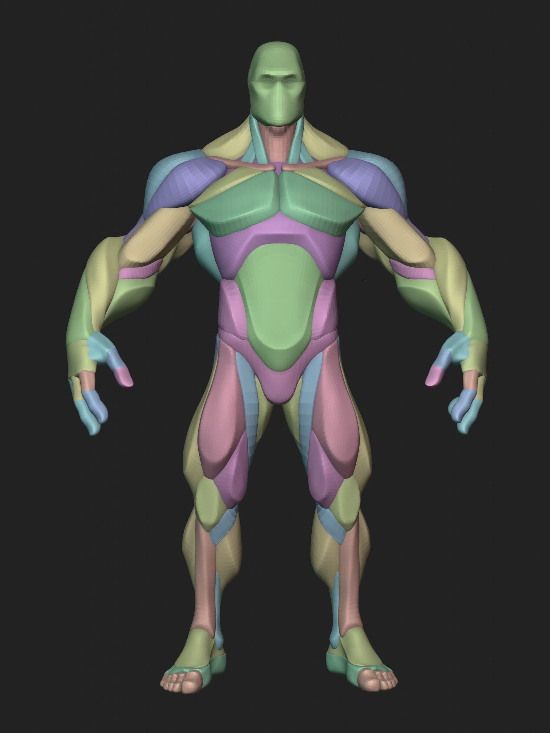 Stylized Hero Anatomy v1 3D model_2
