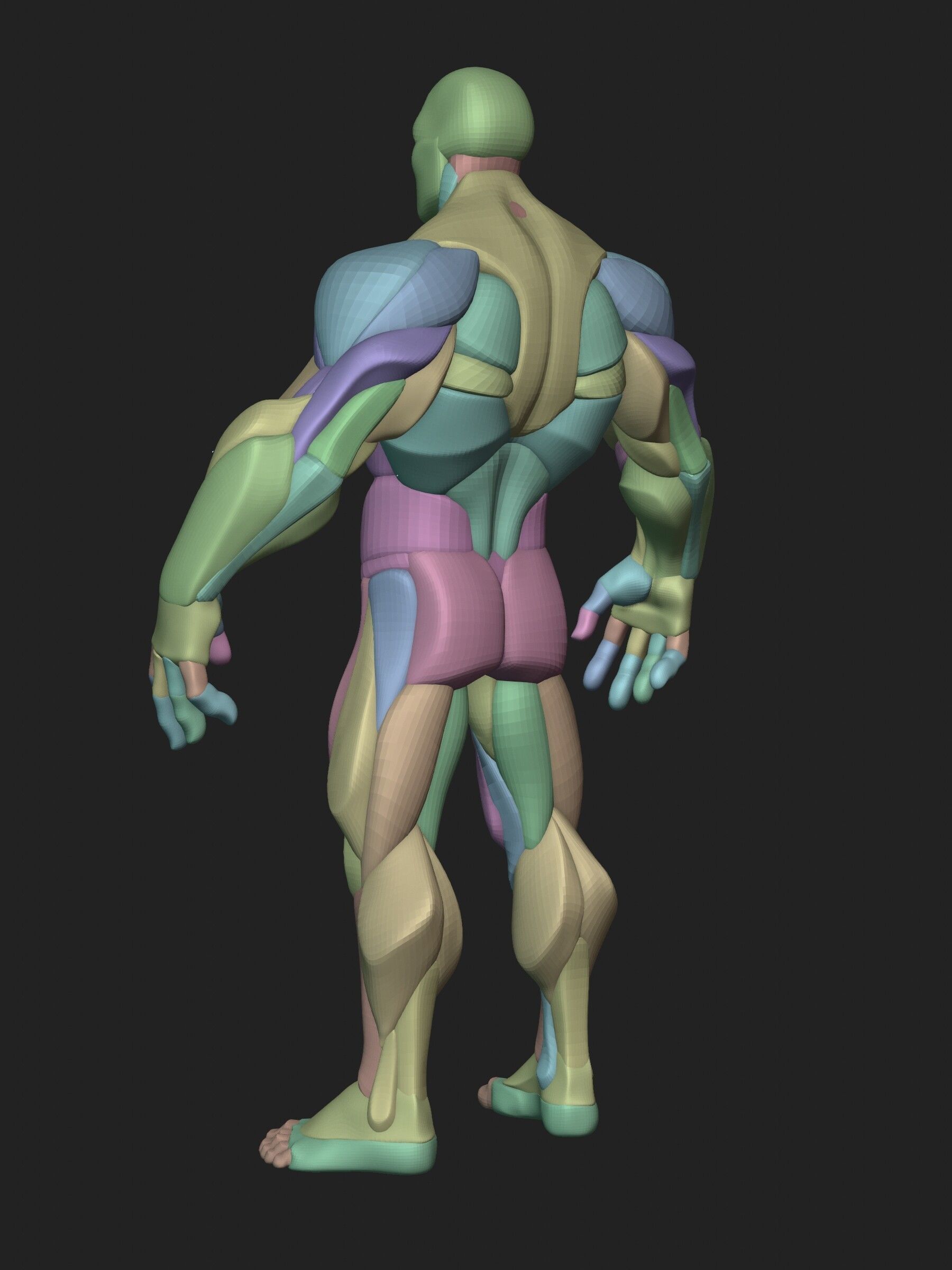 Stylized Hero Anatomy v1 3D model_7
