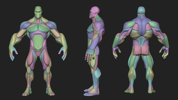 Stylized Hero Anatomy v1 3D model