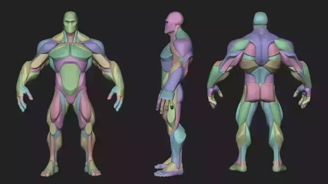 Stylized Hero Anatomy v1 3D model