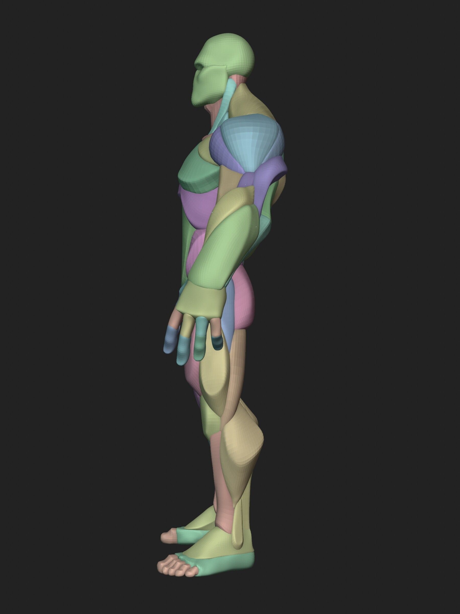 Stylized Hero Anatomy v1 3D model_6