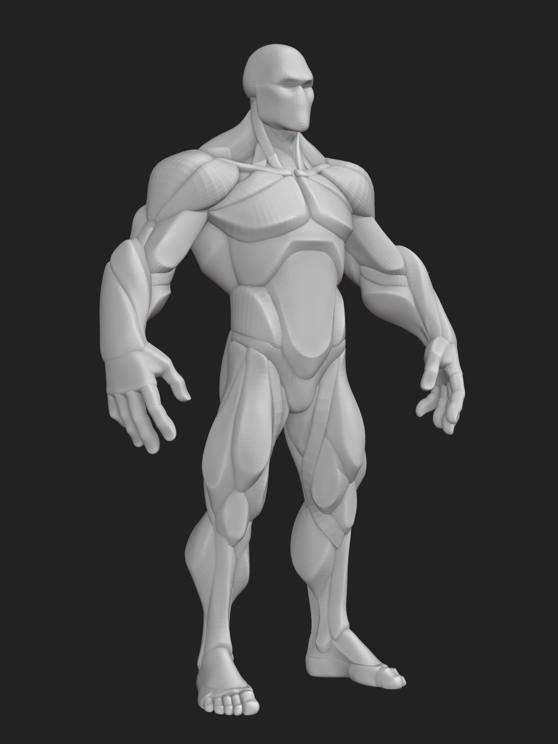 Stylized Hero Anatomy v1 3D model_5