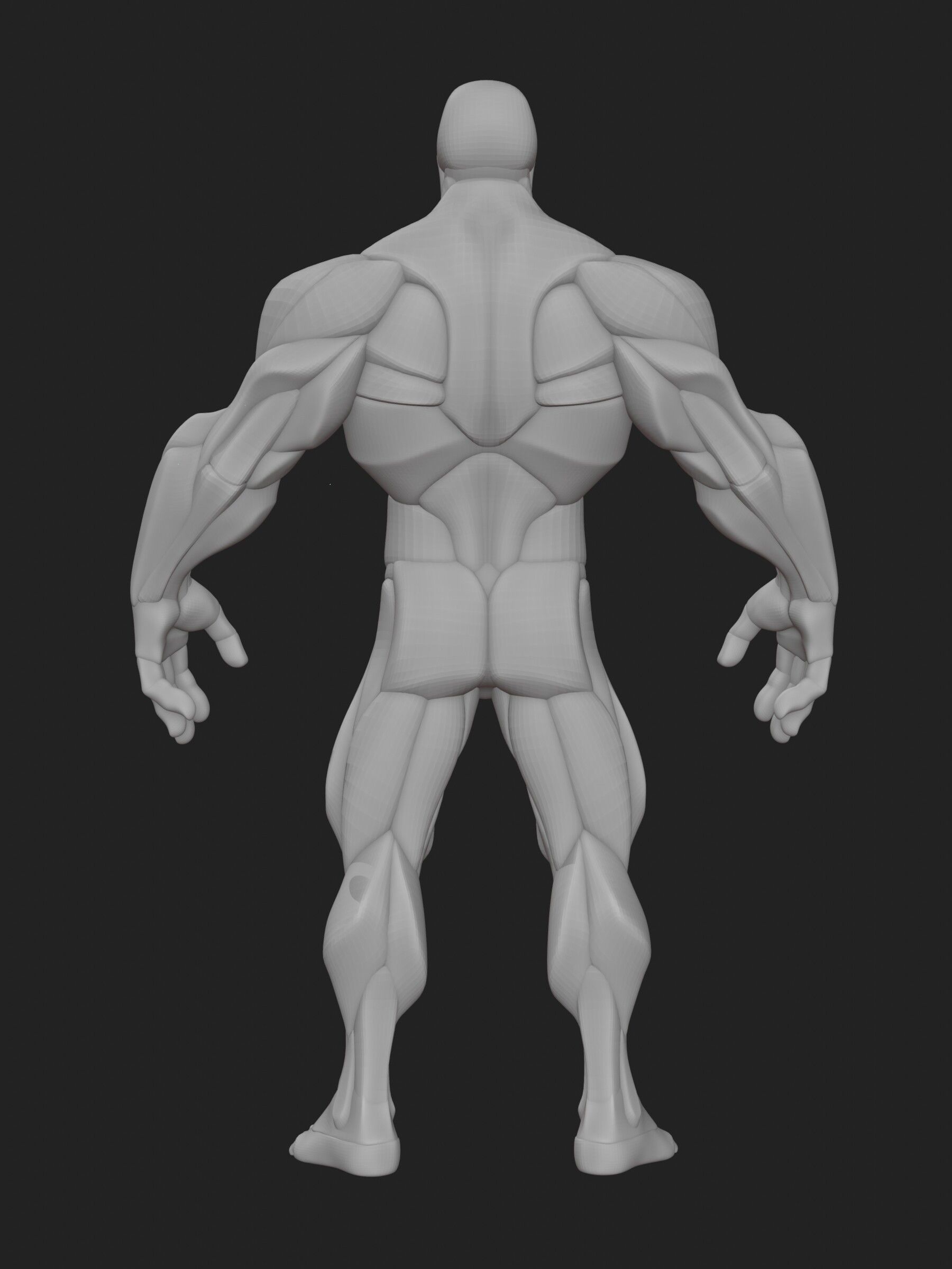 Stylized Hero Anatomy v1 3D model_10