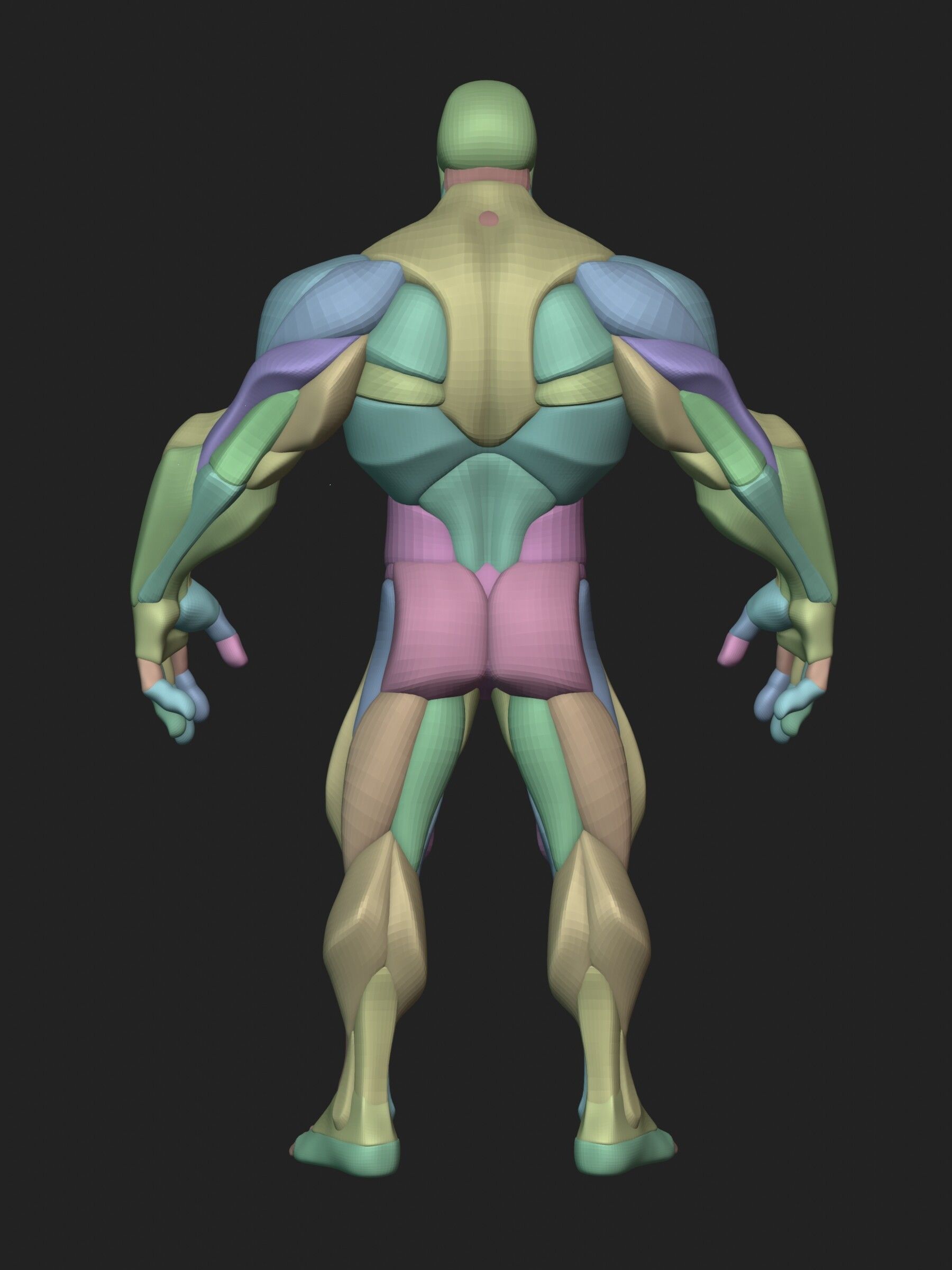 Stylized Hero Anatomy v1 3D model_9