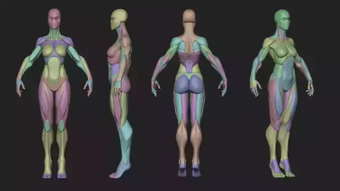 Stylized Female Blockout v1 3D model