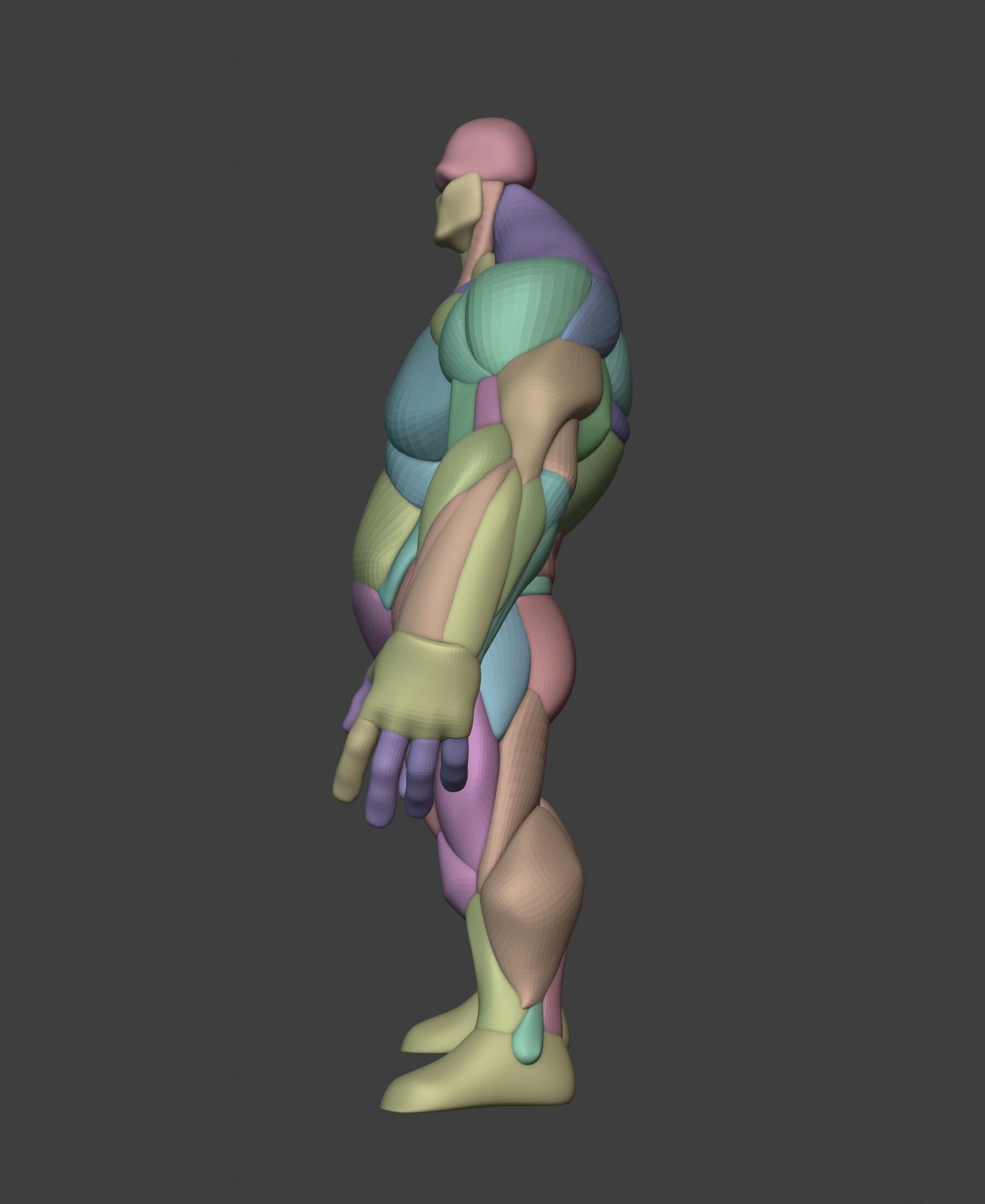 Stylized Heavy Anatomy Blockout 3D model_8