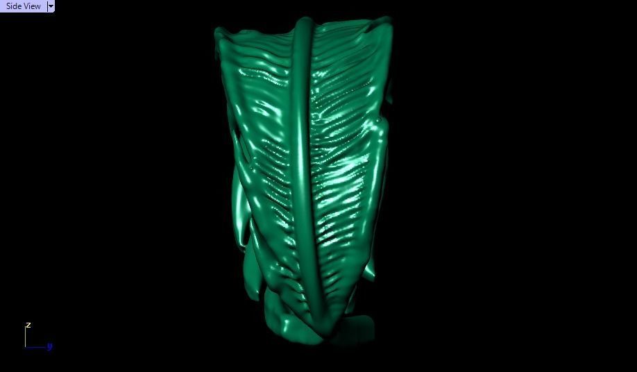 feather ring 3D print model_17