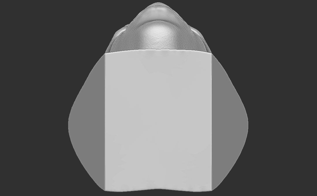Vinicius Junior bust for 3D printing 3D print model_23