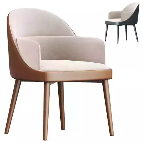Modern dining chair