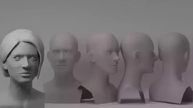 Stylized Female Head