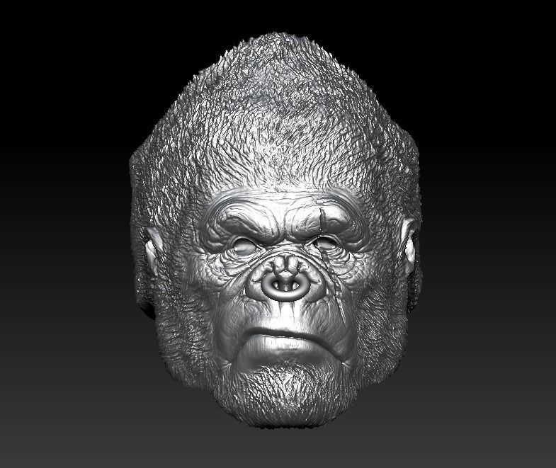 Gorilla ape monkey ring for men  3D print model_6