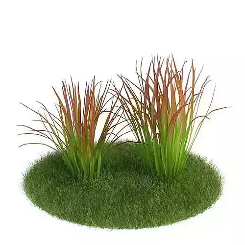 Tall Green Grass 3D model