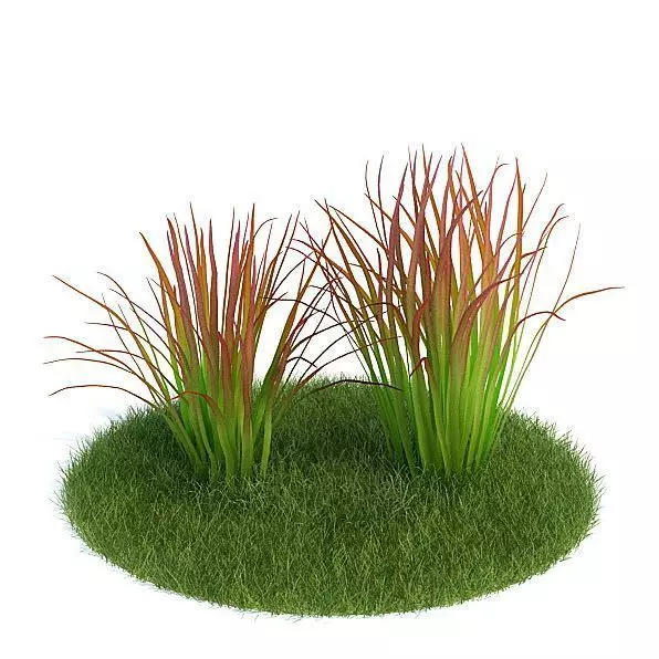 Tall Green Grass 3D model_0