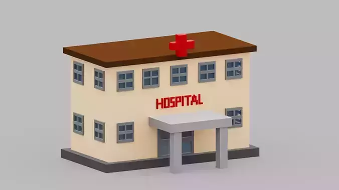 Voxel Hospital