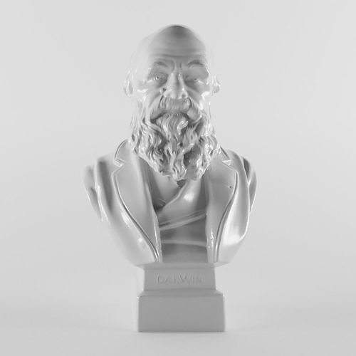 Charles Robert Darwin 3D print model