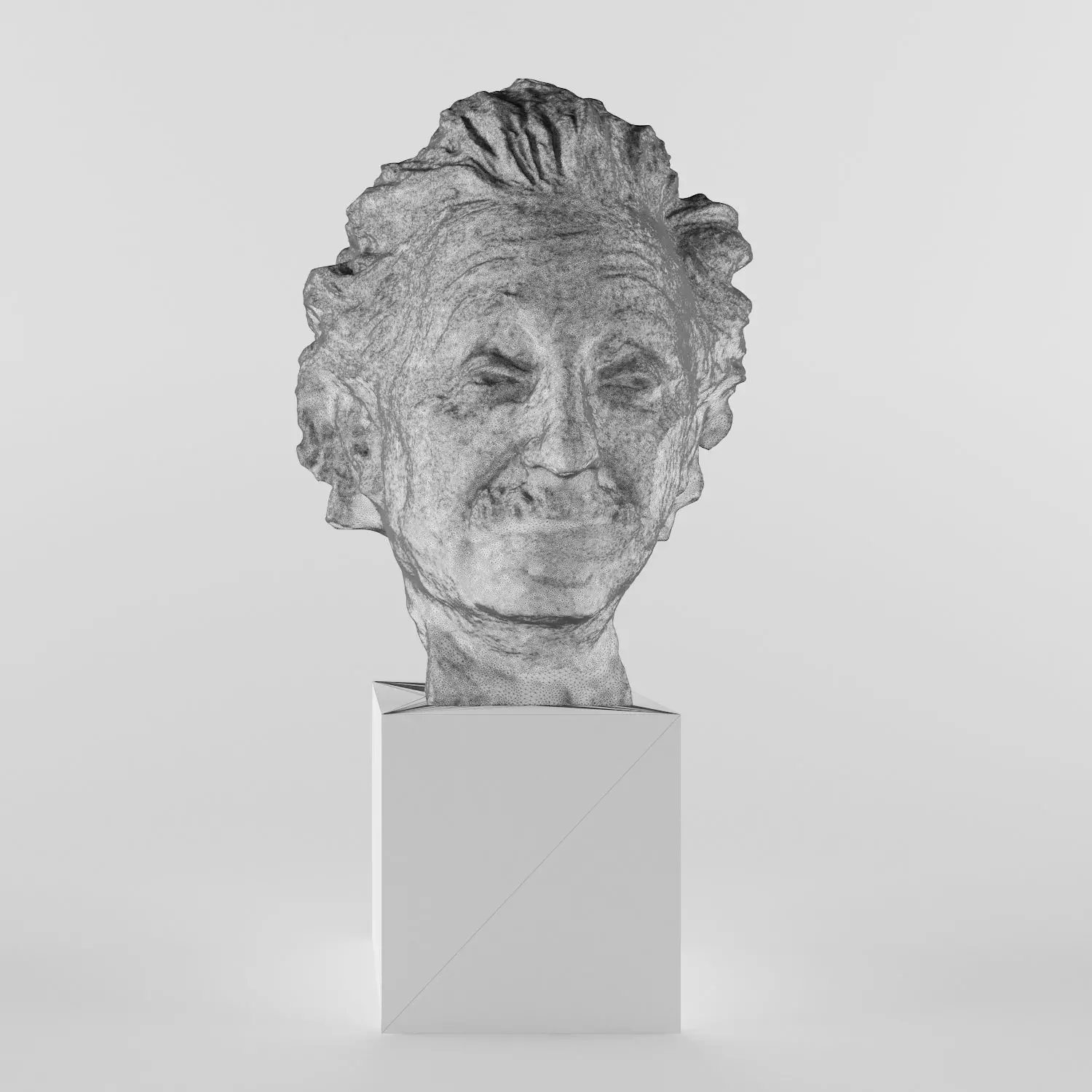 Albert Einstein 3D print model_0