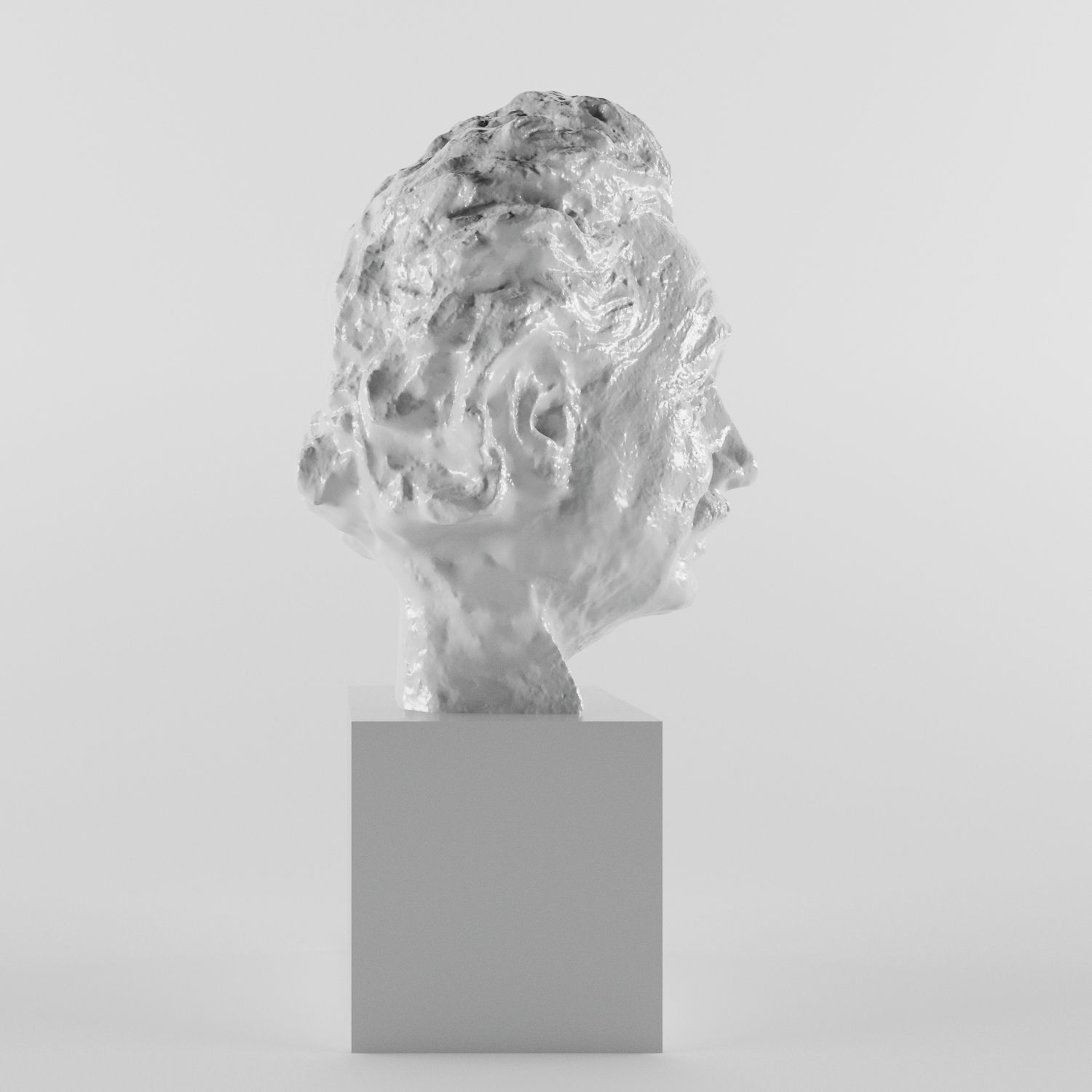 Albert Einstein 3D print model_2