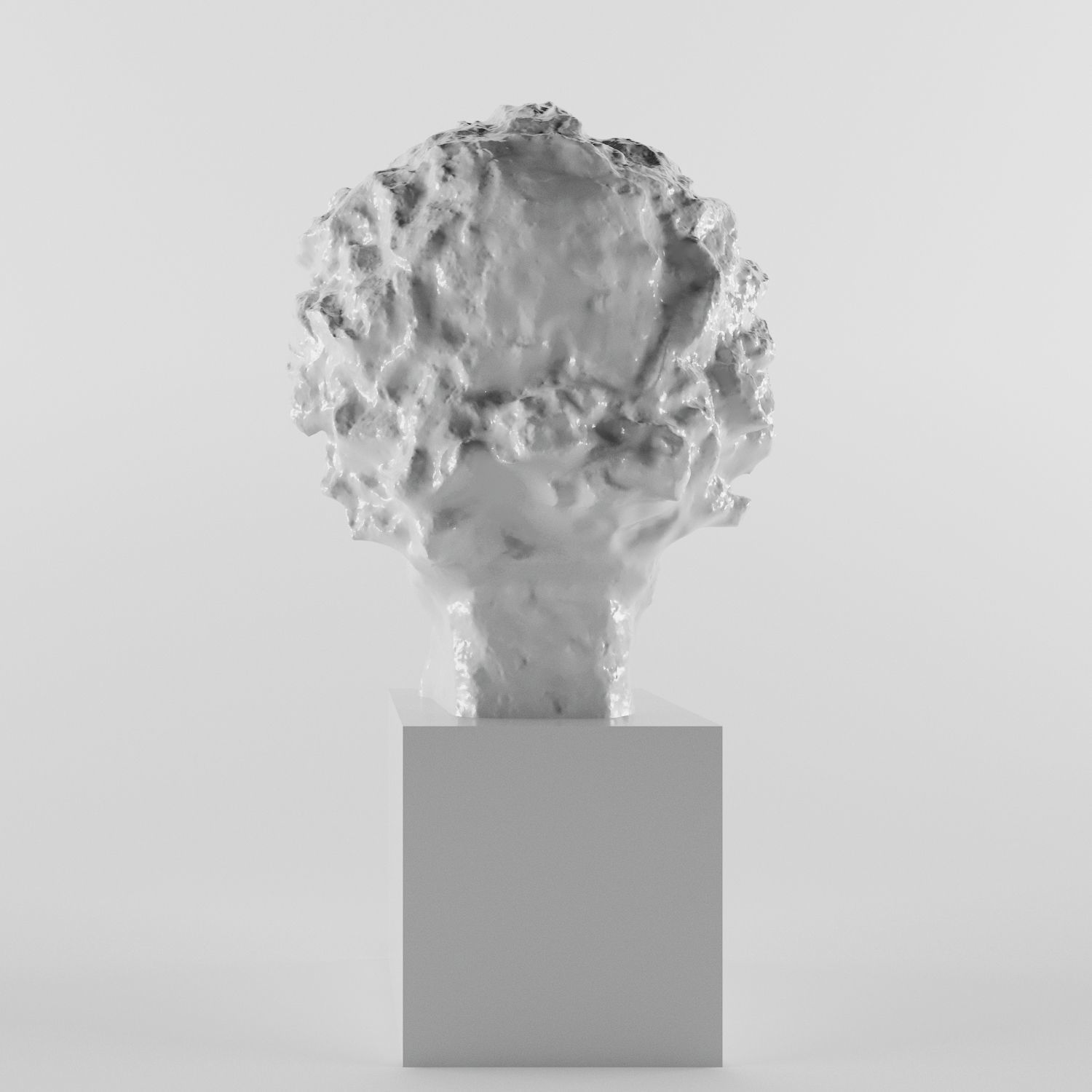 Albert Einstein 3D print model_3