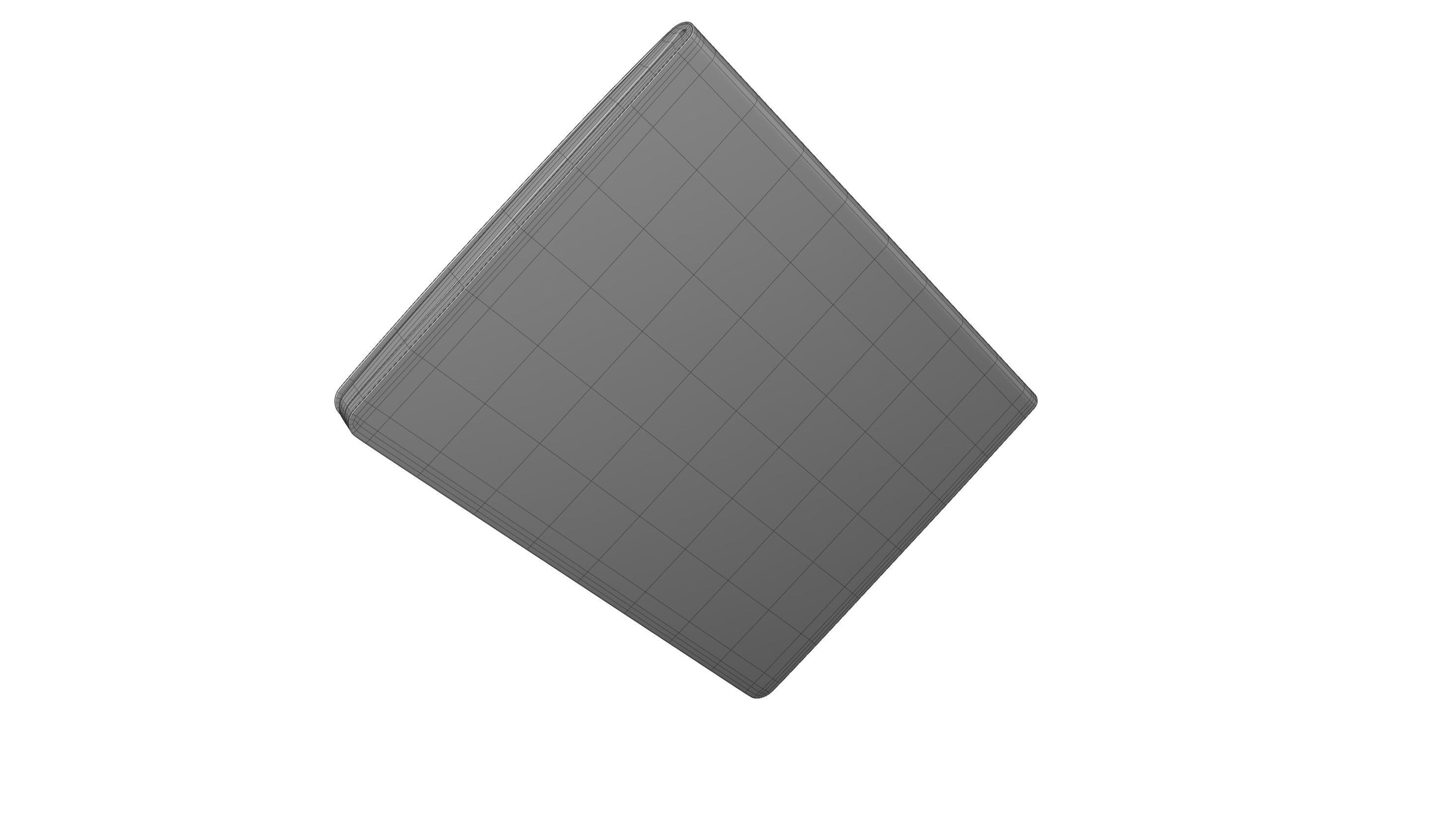 Passport 3D model_13