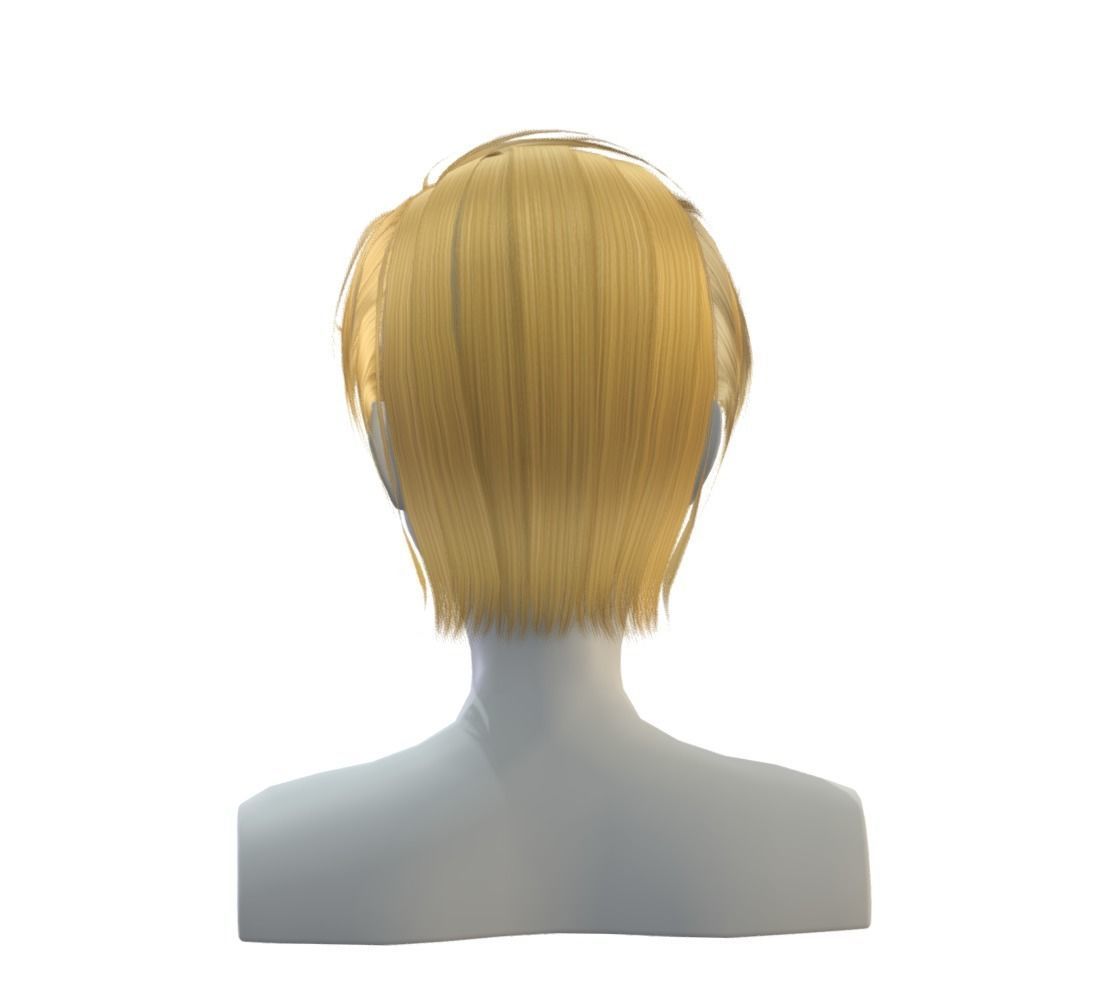Hairstyle cartoon lush man haircut of short Low-poly 3D model Low-poly 3D model_1