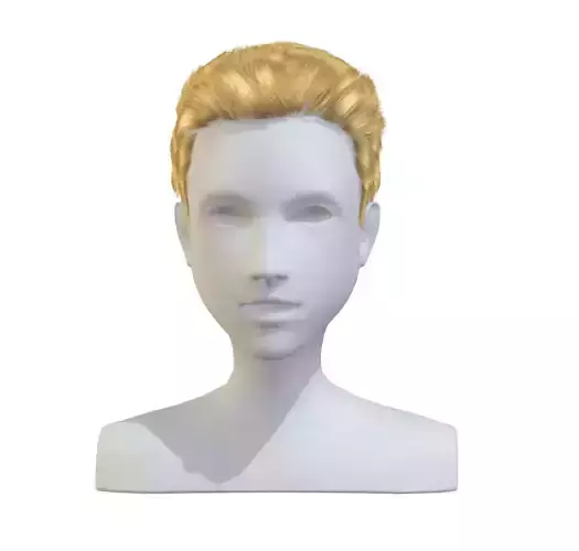 Hairstyle cartoon lush man 002 haircut of short lenght 3D Model