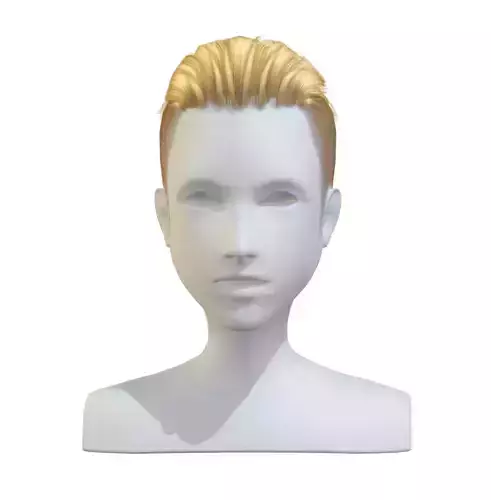 cartoon lush man haircut of short lenght Hairstyle