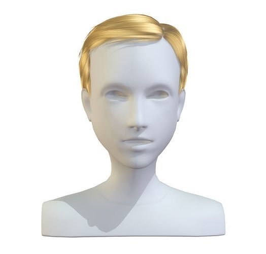 cartoon lush man haircut of short lenght 3D Hairstyle Low-poly 3D model