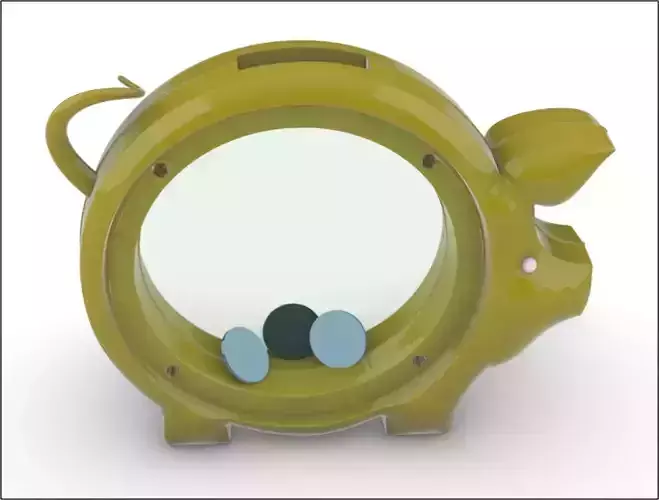 Piggy Bank Pig