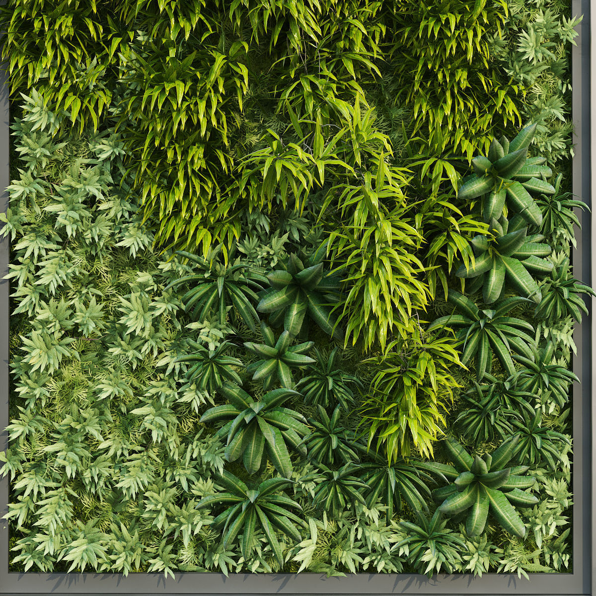 Greenwall vertical plant set 233 3D model_5