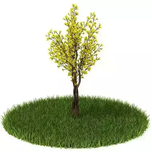 Tree With Yellow Leaves