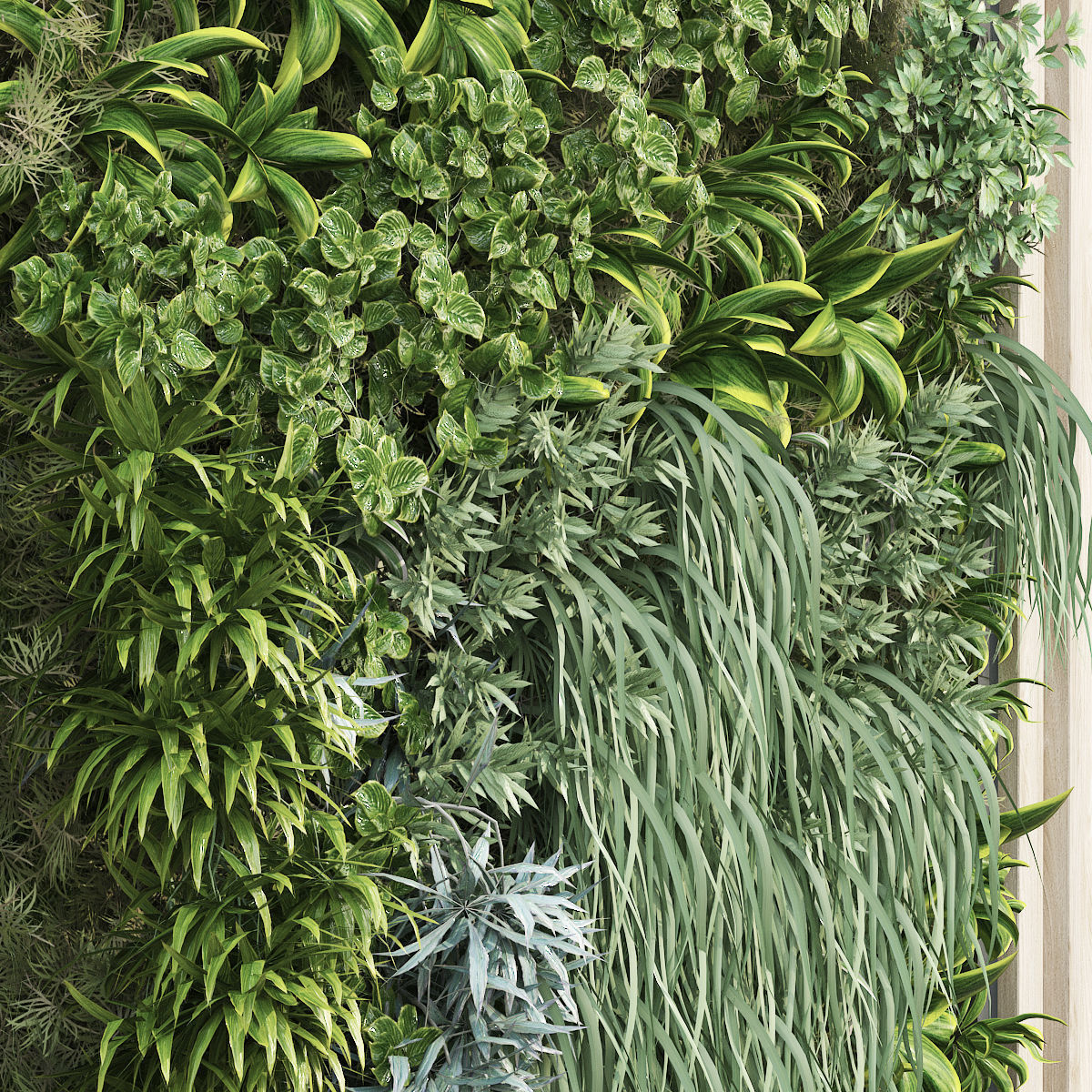 Greenwall vertical plant set 232 3D model_3