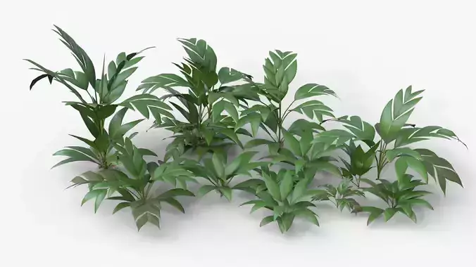Modular Tasi Palm Trees - Geonoma Baculifera Low-poly 3D model