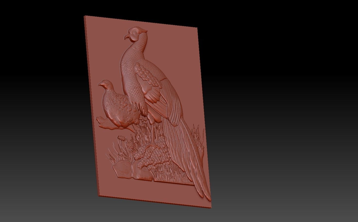 Birds pheasant 3D print model_1