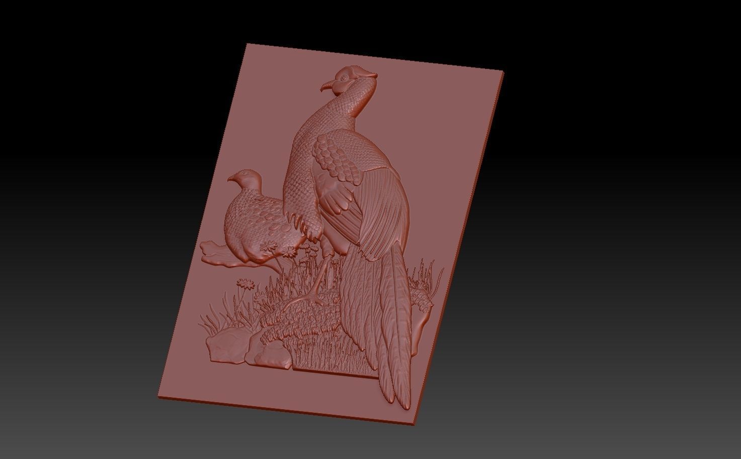 Birds pheasant 3D print model_2