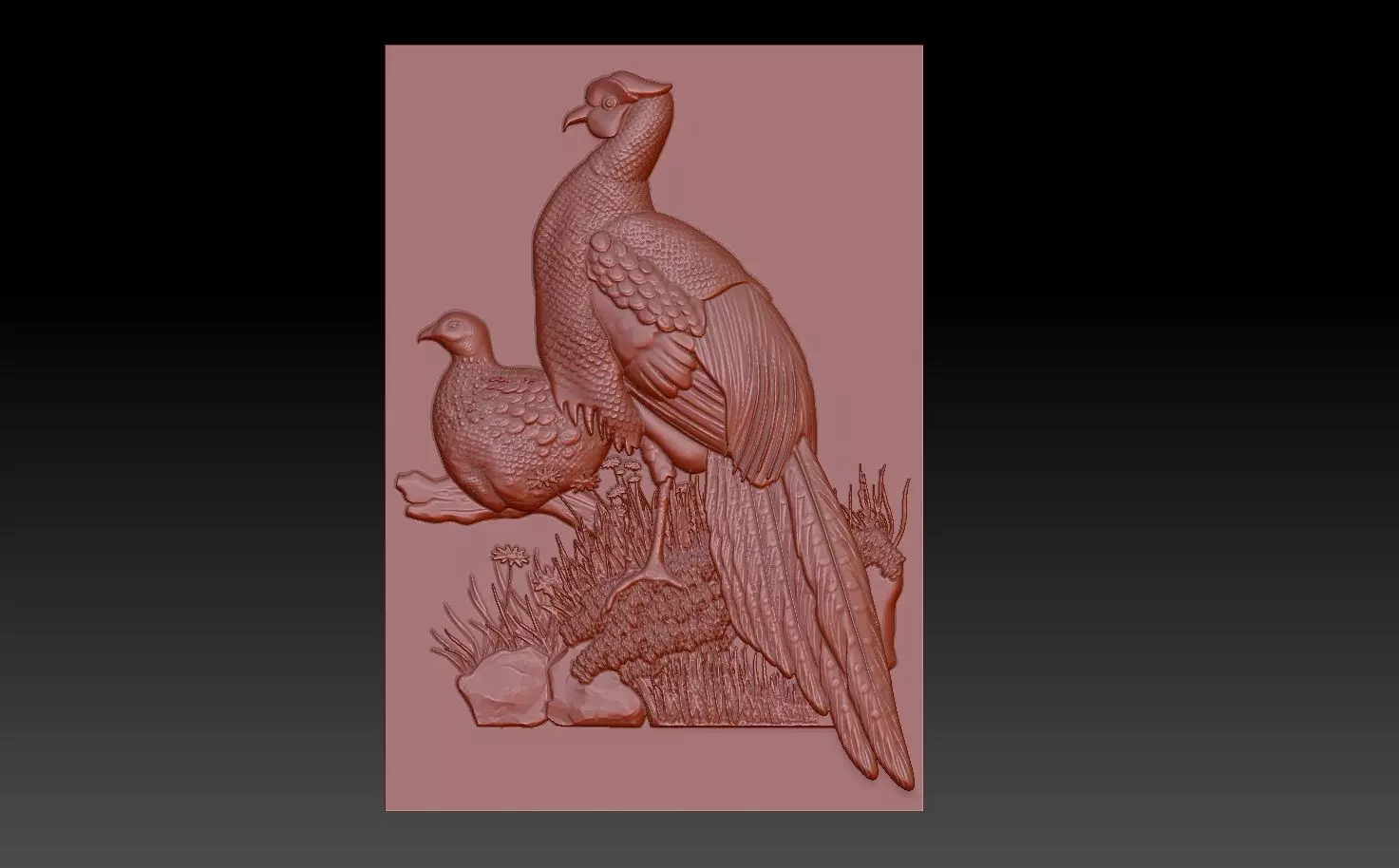 Birds pheasant 3D print model_0