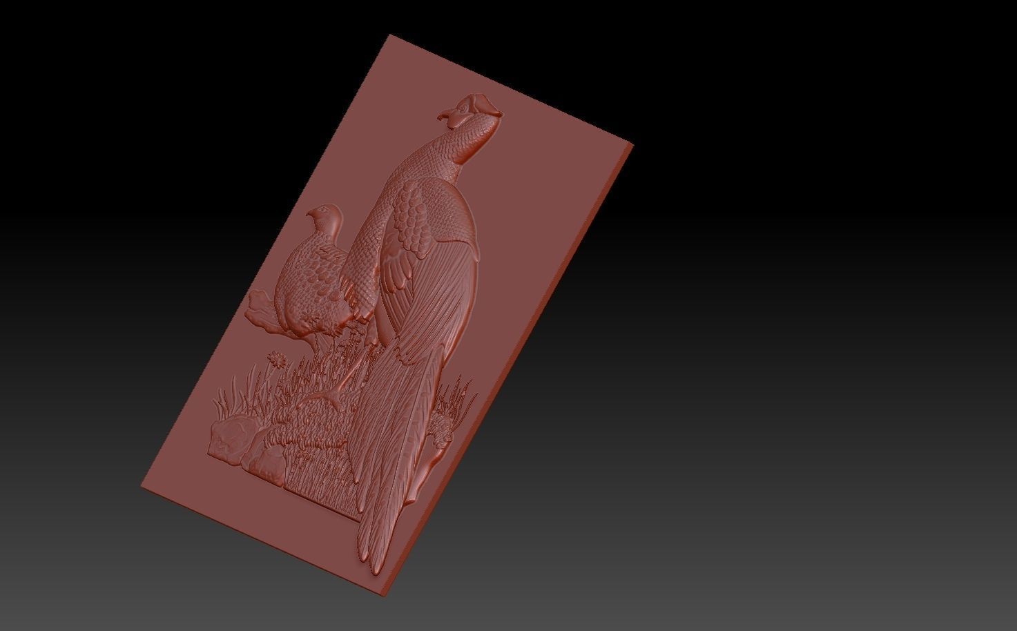 Birds pheasant 3D print model_6