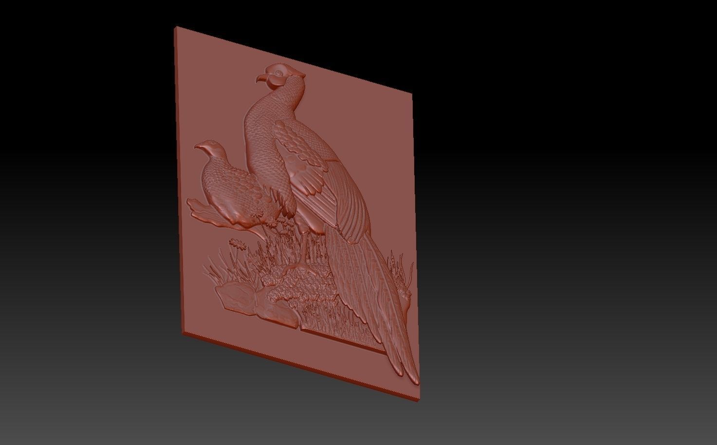 Birds pheasant 3D print model_5