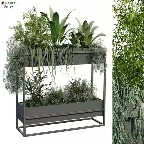 plant in box set 235