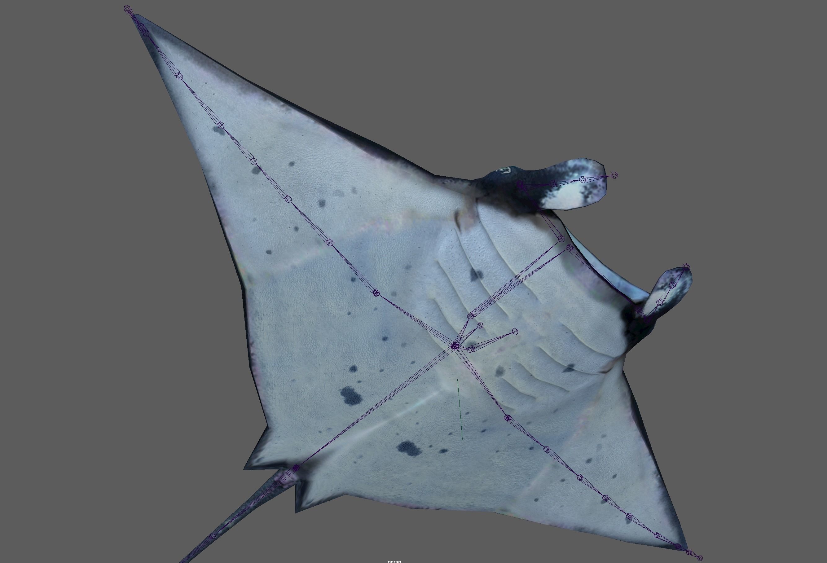Manta Ray  Low-poly 3D model_10