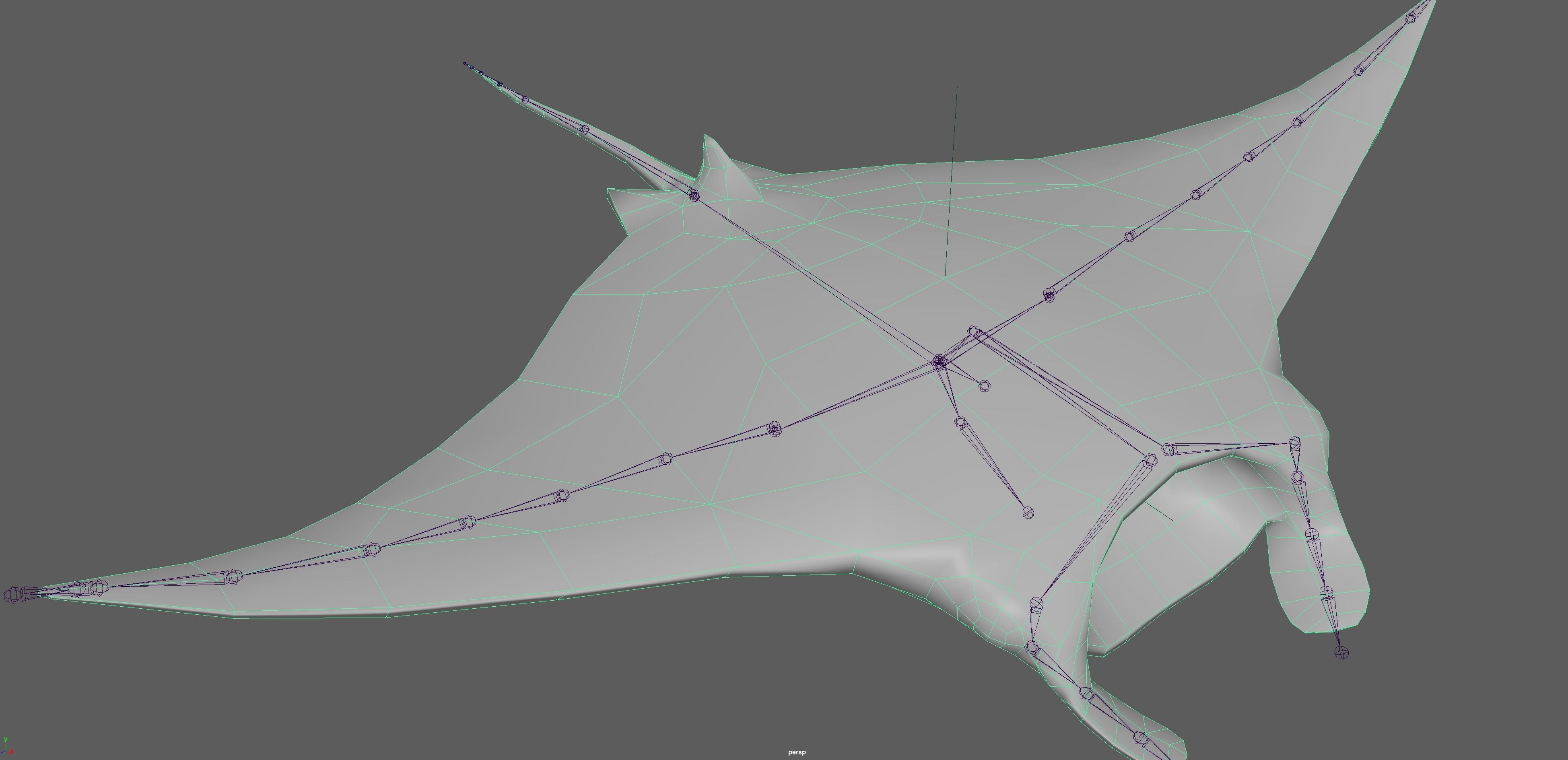 Manta Ray  Low-poly 3D model_14