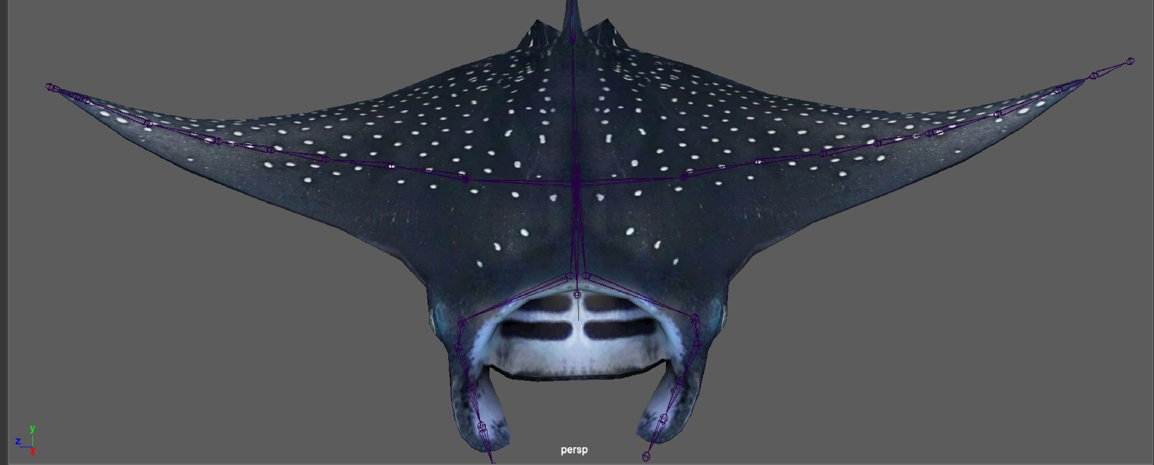 Manta Ray  Low-poly 3D model_16