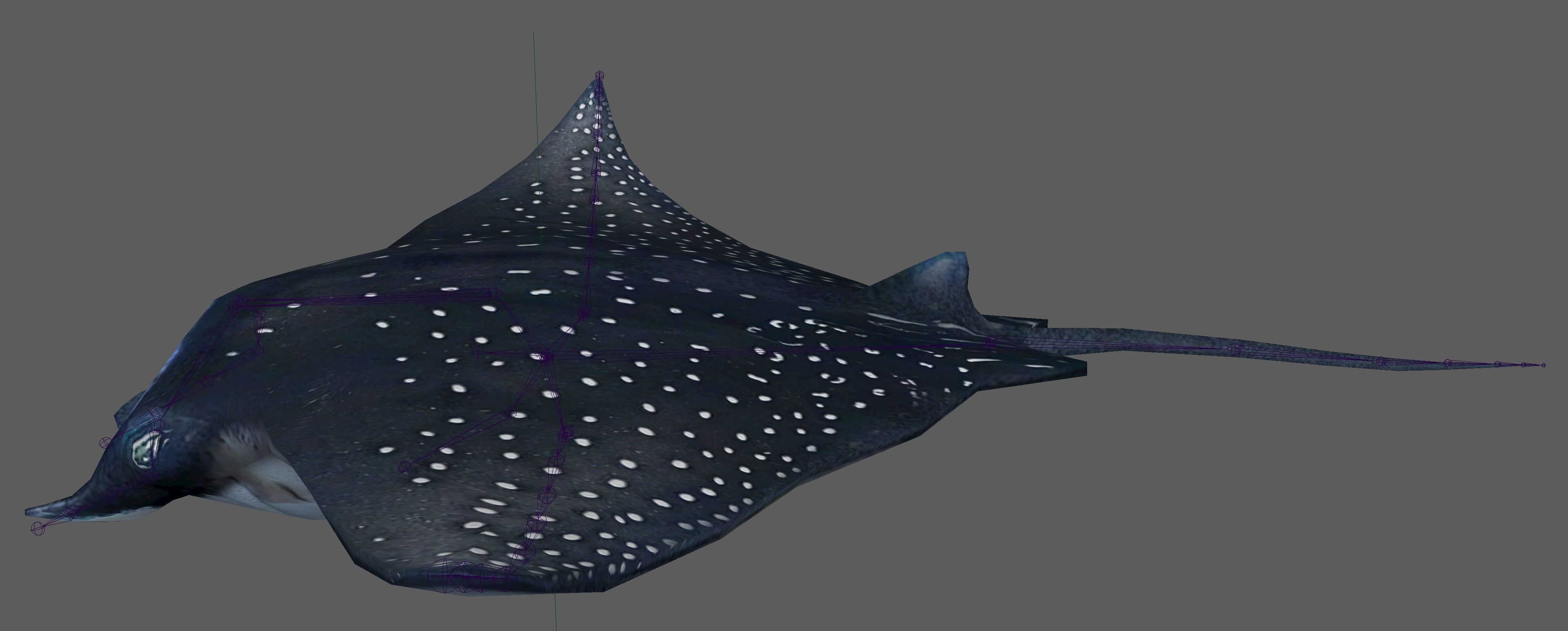 Manta Ray  Low-poly 3D model_22