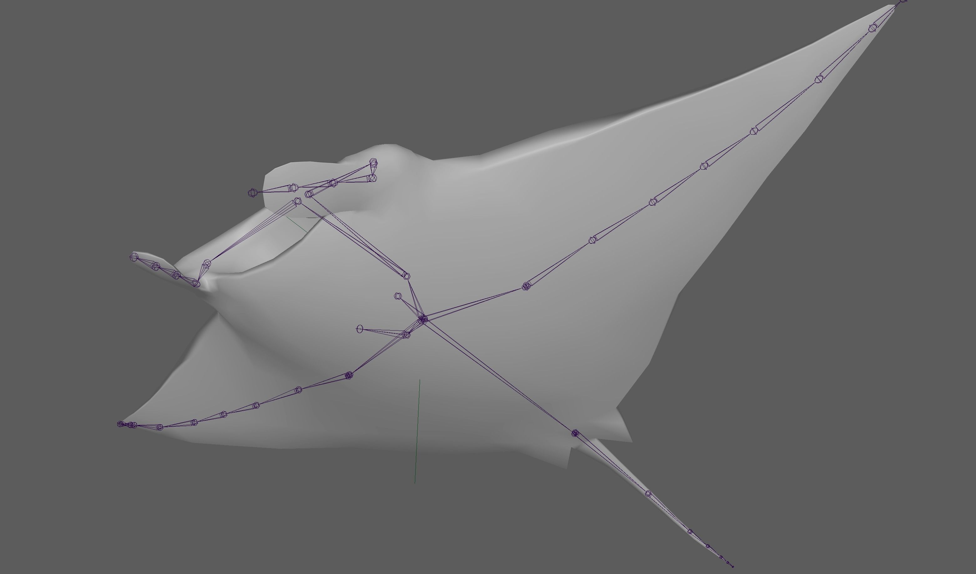 Manta Ray  Low-poly 3D model_13
