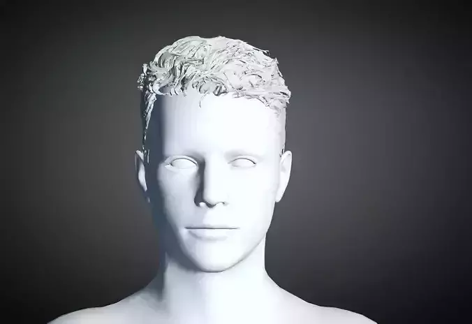 3D Hair style for Man 42 3D model 3D model